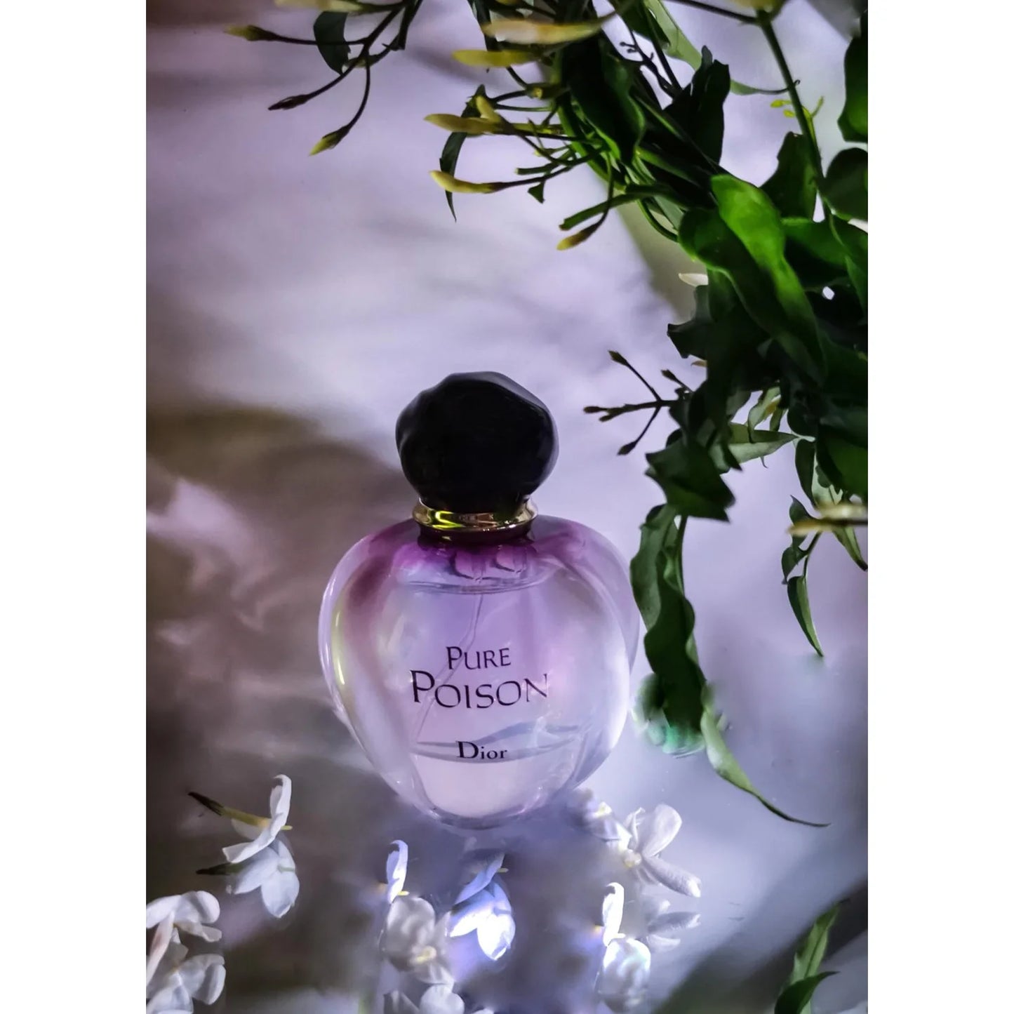 Dior Pure Poison-100ml Eaux de Parfum